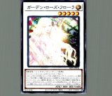 未開封】ガーデンローズフローラ/35枚 - メルカード遊戯王