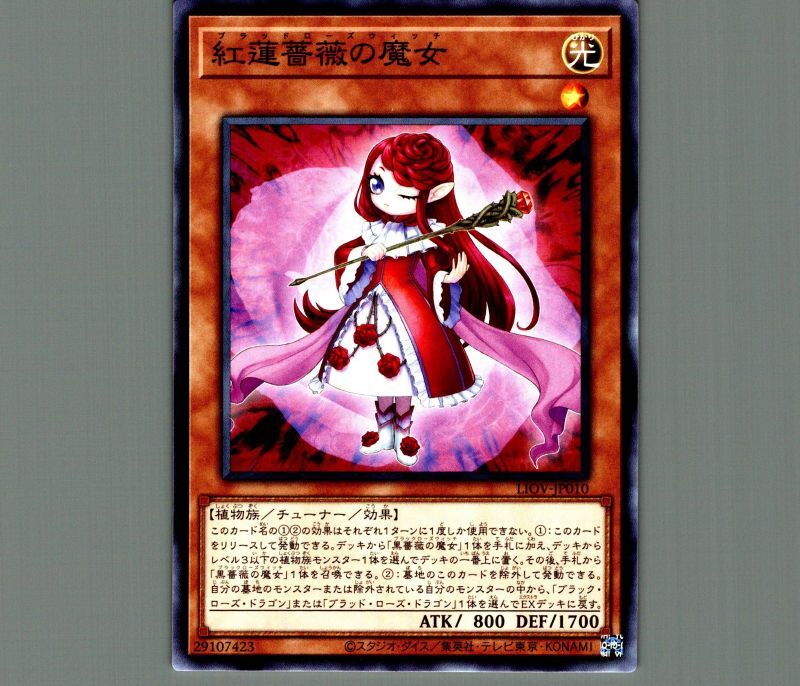 紅蓮薔薇の魔女 ノーマル モンスター Liov Jp010 メルカード遊戯王