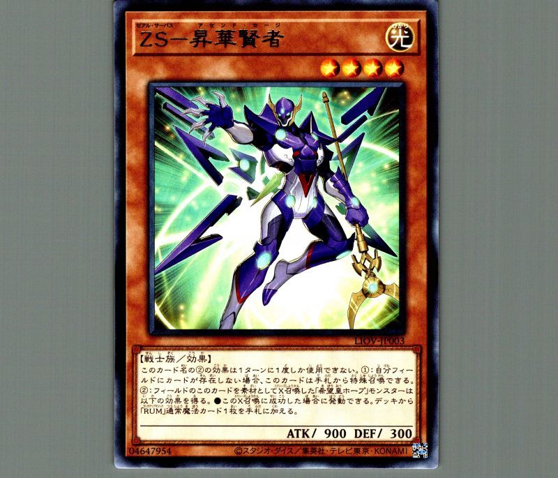 遊戯王 ZWー天馬双翼剣 レリーフ - 遊戯王OCG デュエルモンスターズ